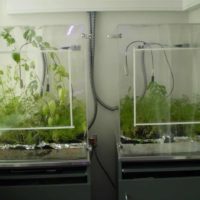 The Climate and Energy Laboratory - Image 3